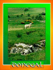 Country Scene of Donegal