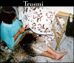 Tulis Process in Trusmi