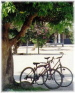 2 Bicycles, Northern Malaysia