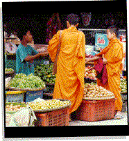 Thai Monks